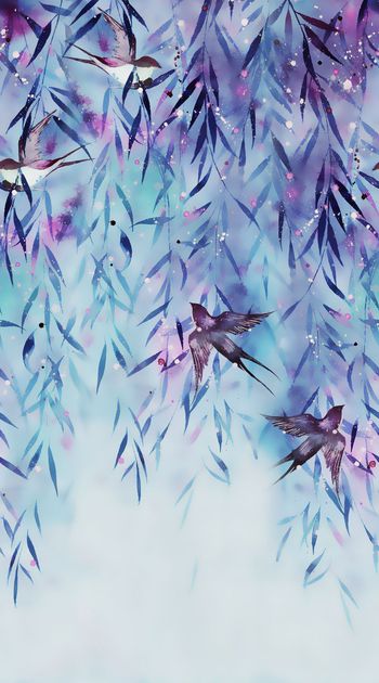 533162-杨柳燕子归