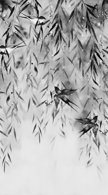 533164-杨柳燕子归