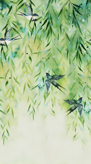 533165-杨柳燕子归