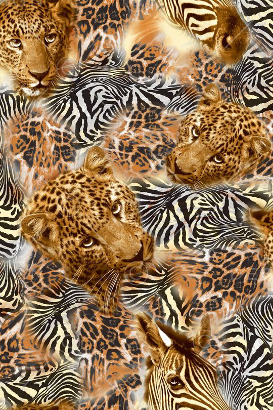 女装印花华亿平台图片