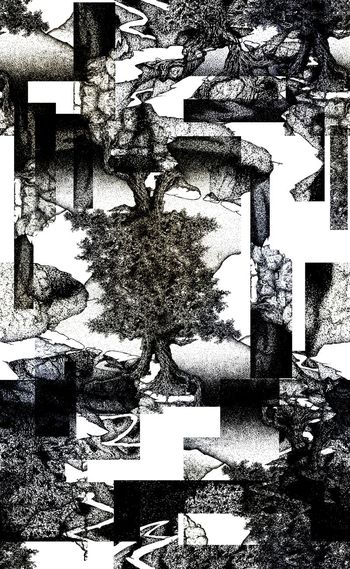 533367-欧美流行时尚黑白树