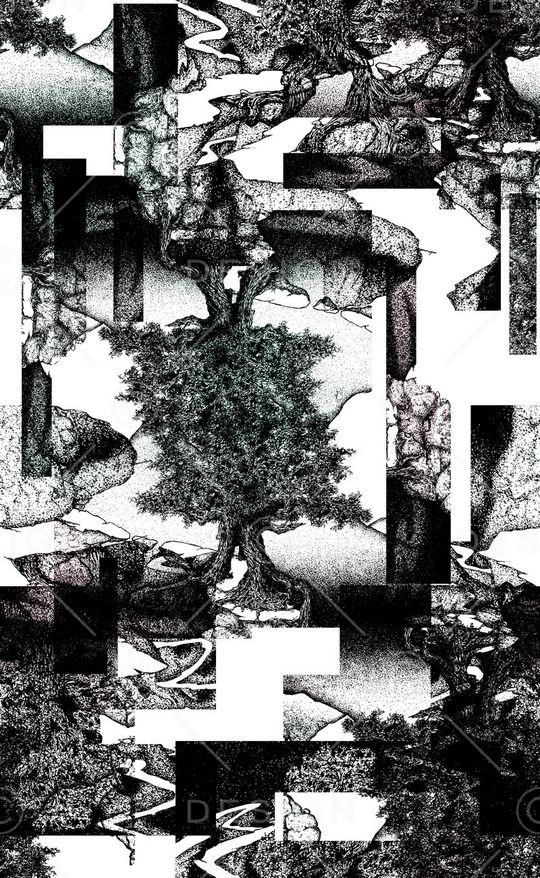 黑白花卉印花华亿平台图片