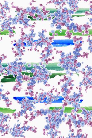 清爽 流行时尚 水彩果实 服装 家纺 窗帘 丝巾印花华亿平台图片