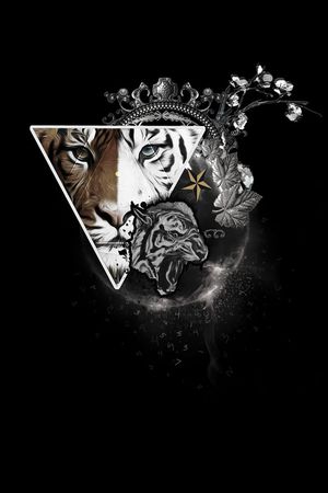 t恤华亿平台印花华亿平台图片