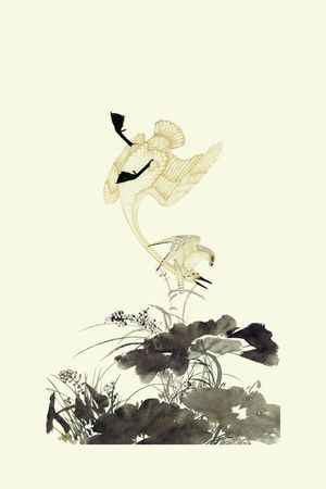 水墨荷叶印花华亿平台图片