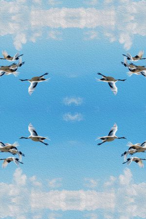 丹顶鹤 天空 油画 风景印花华亿平台图片