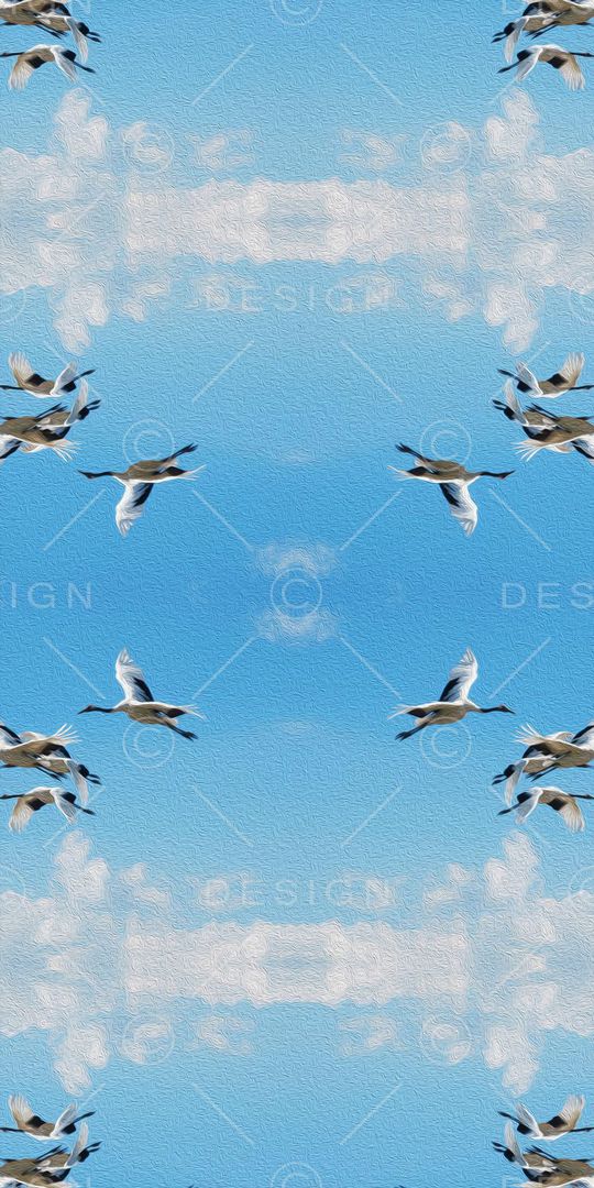 丹顶鹤 天空 油画 风景印花华亿平台图片