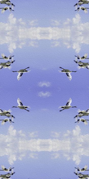 533637-时尚 丹顶鹤 天空 油画 风景 女