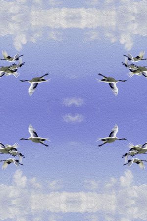 时尚印花华亿平台图片