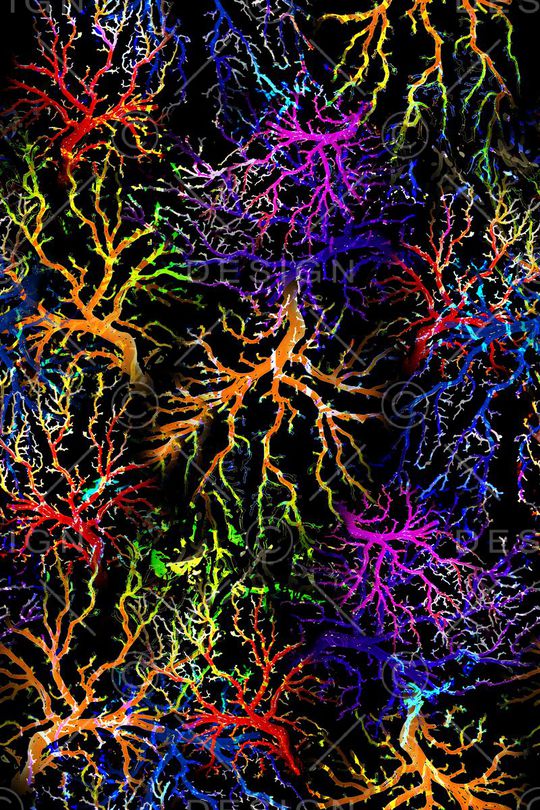 数码印花华亿平台图片