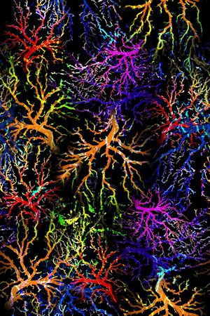 数码印花华亿平台图片