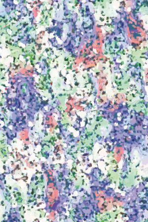 羽毛印花华亿平台图片