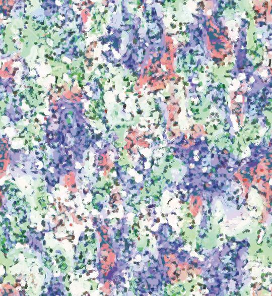 羽毛印花华亿平台图片