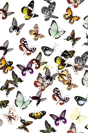 复古印花华亿平台图片