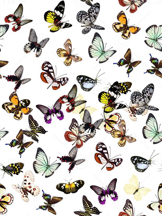 复古印花华亿平台图片