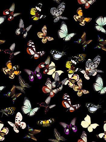 533911-复古蝴蝶男装华亿平台