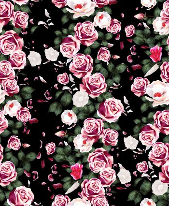 534373-手绘玫瑰花