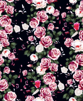 534374-手绘玫瑰花