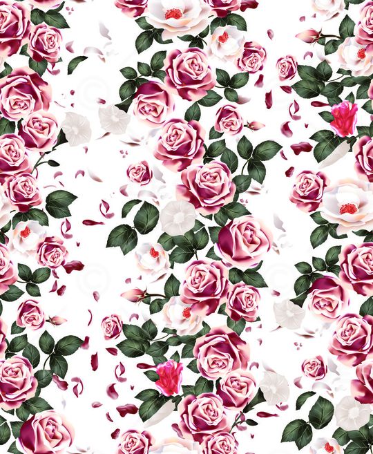 玫瑰花印花华亿平台图片