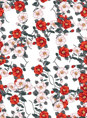 534432-花朵花卉植物