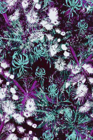 传统印花华亿平台图片