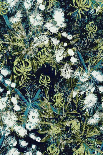 534509-WT522休闲假日风热带植物男装女