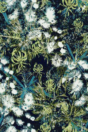 休闲印花华亿平台图片