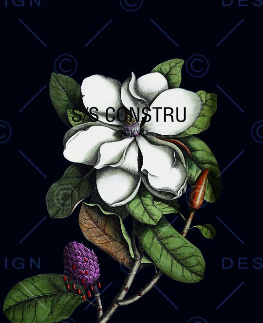 定位印花华亿平台图片