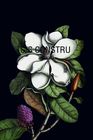 定位印花华亿平台图片