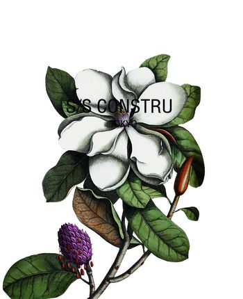 534526-定位复古花朵