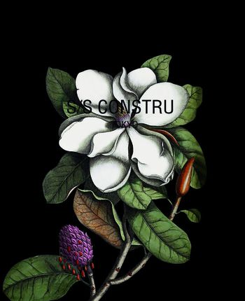 534527-定位复古花朵