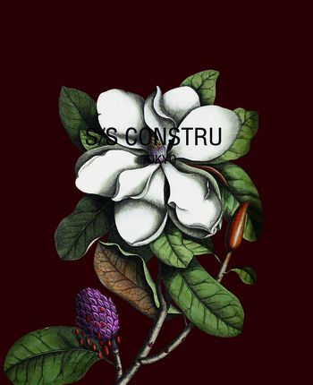 534528-定位复古花朵