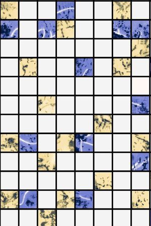 格子印花华亿平台图片