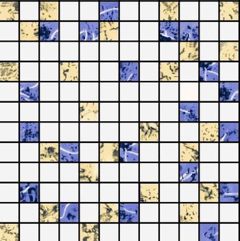 格子印花华亿平台图片