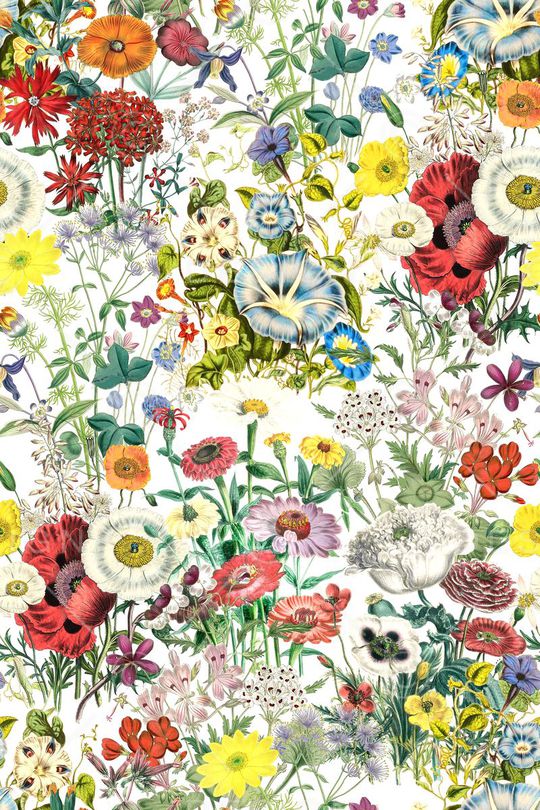 时尚印花华亿平台图片