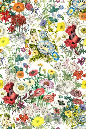 时尚印花华亿平台图片