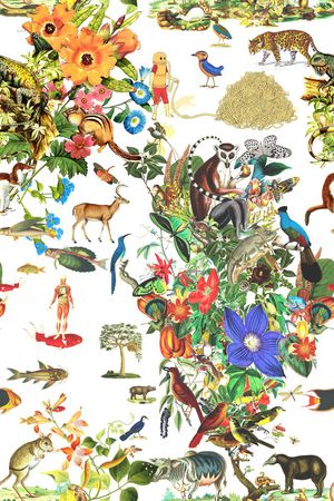 时尚印花华亿平台图片