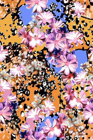 时尚女装印花华亿平台图片