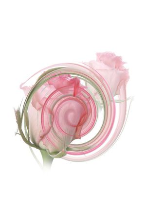 抽像印花华亿平台图片