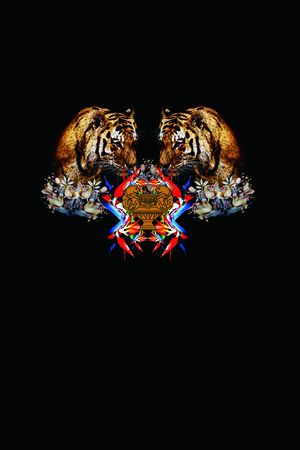 动物印花华亿平台图片