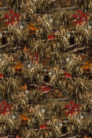 草印花华亿平台图片