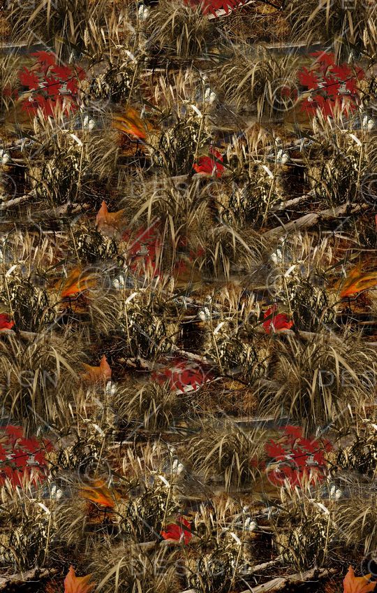 草印花华亿平台图片