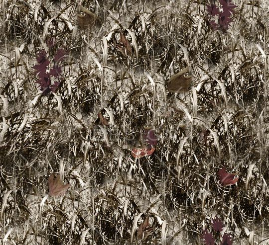 秋叶印花华亿平台图片