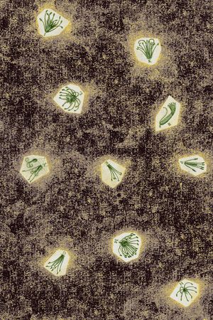 线条印花华亿平台图片