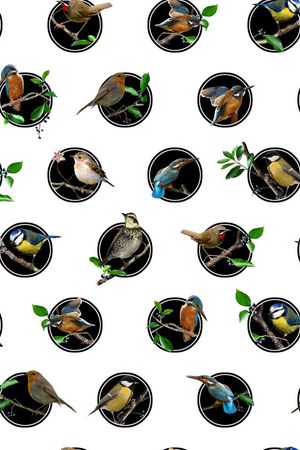 波点印花华亿平台图片