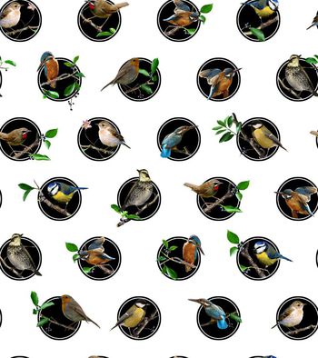 535013-时尚潮流清新树枝鸟图案华亿平台