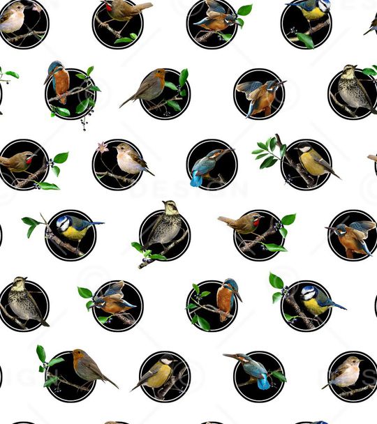 波点印花华亿平台图片