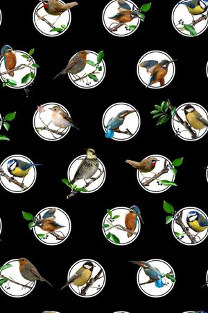 波点印花华亿平台图片