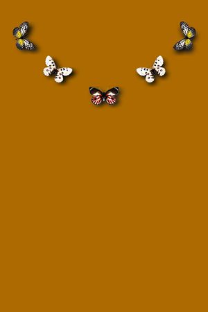 流行时尚印花华亿平台图片