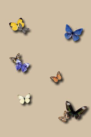 流行时尚印花华亿平台图片